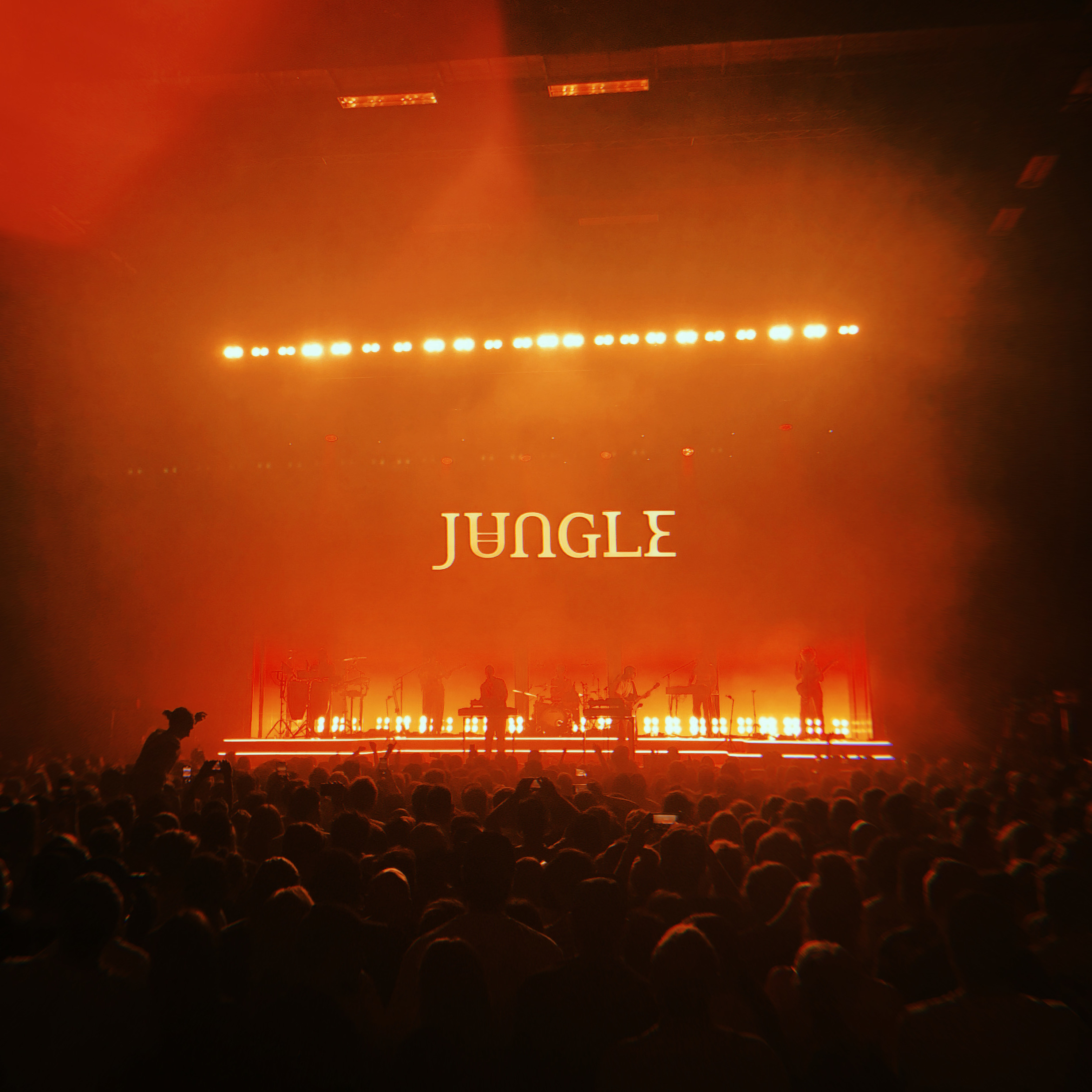 Jungle at The Brighton Centre