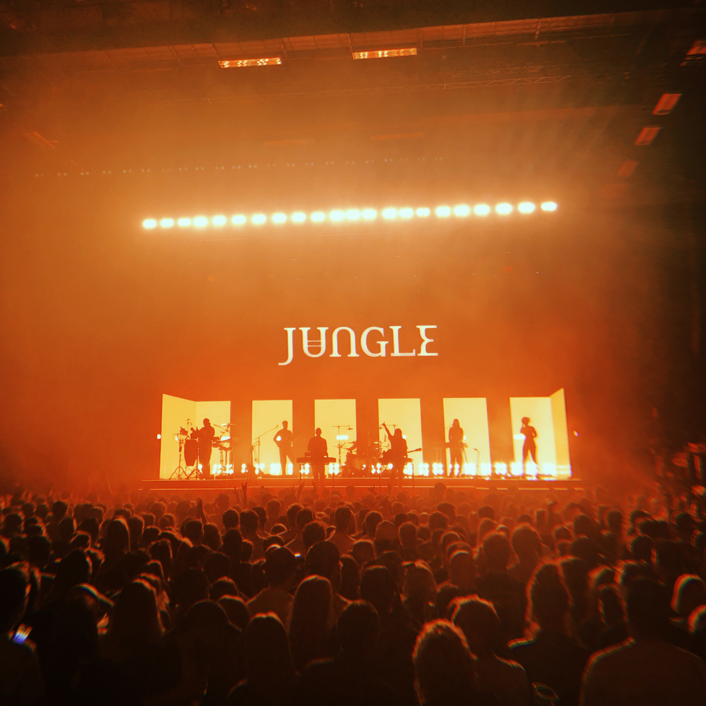 Jungle at The Brighton Centre