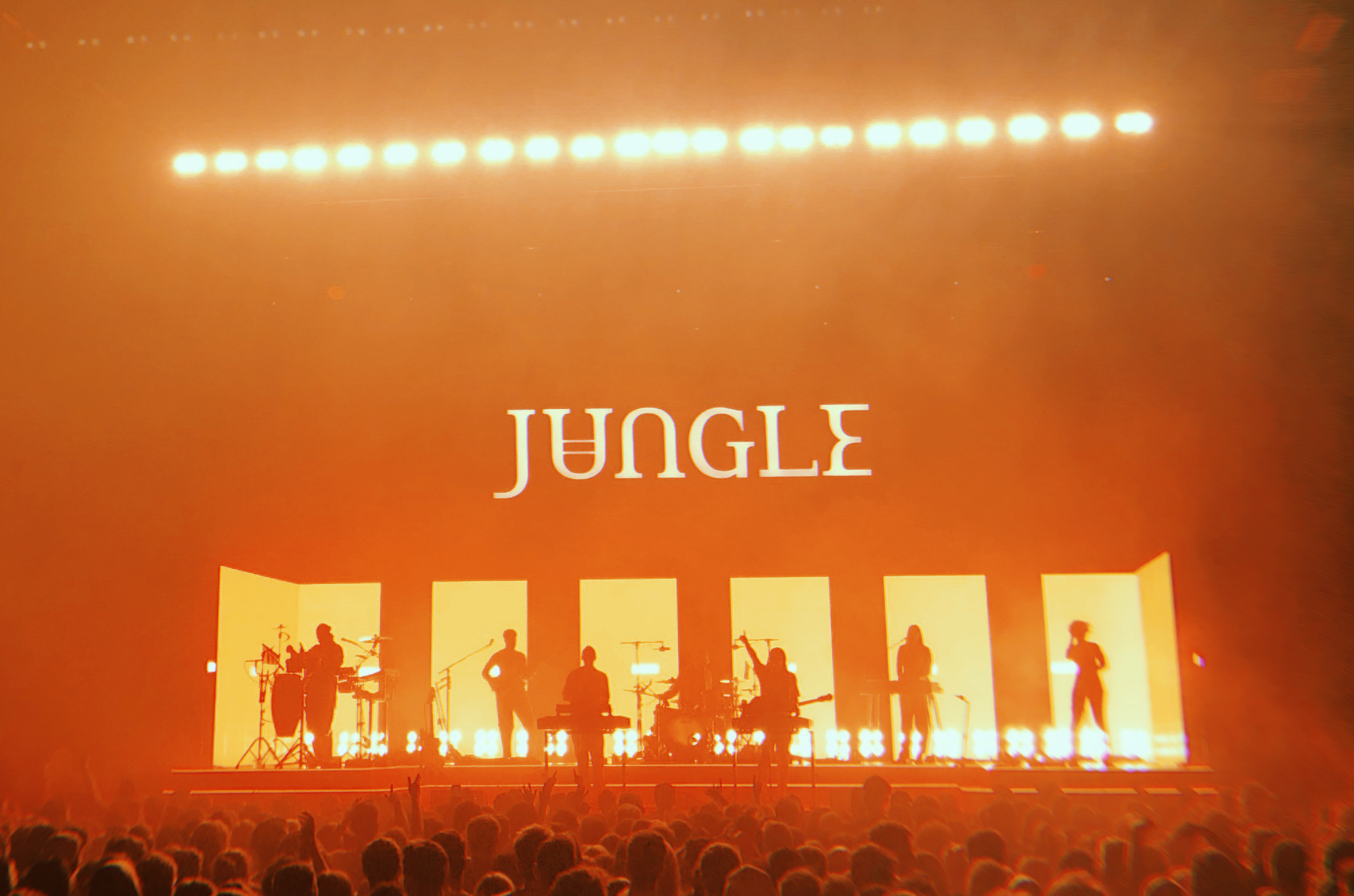 Jungle at Brighton Centre